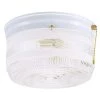 2-Light Ceiling Fixture White Interior Flush-Mount with Pull Chain and White and Clear Glass by Westinghouse