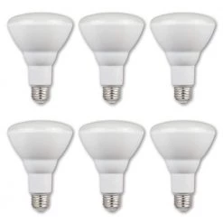 65W Equivalent BR30 Dimmable LED Light Bulb Cool White (6-Pack) by Westinghouse